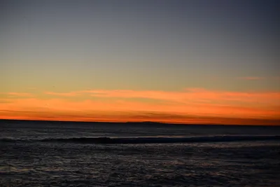 DSC_1308 (Large).JPG